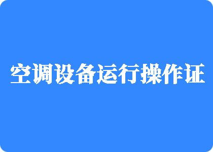 免费看鸡巴视频网站制冷工证